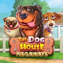 The Dog House Megaways game at Swift Casino for United Kingdom players