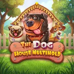 The Dog House Multihold game at Swift Casino for United Kingdom players